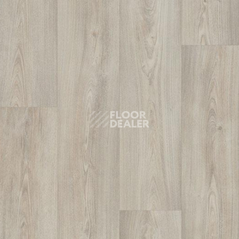 Линолеум Forbo Eternal Wood 10322 white chestnut фото 1 | FLOORDEALER